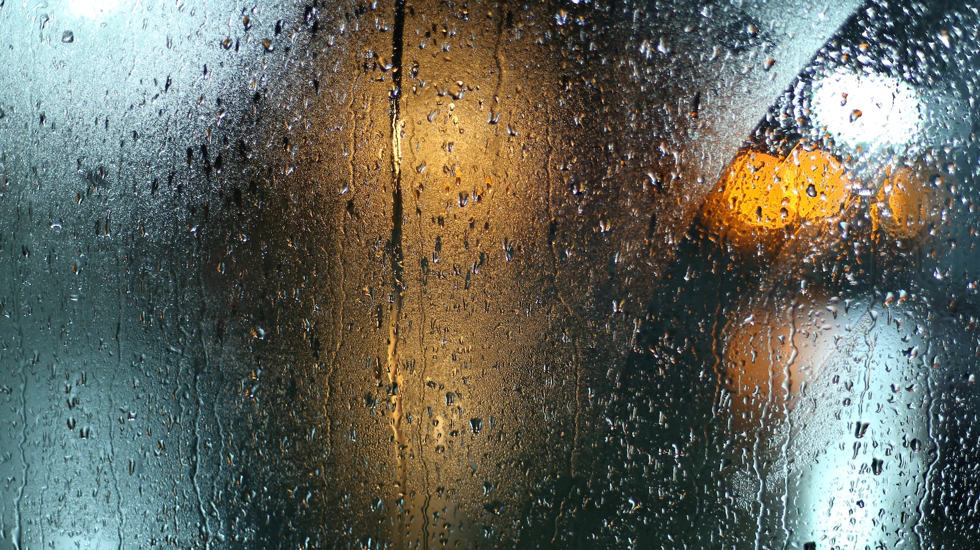 10 Things to Do in Tulsa on a Rainy Day With Dogs