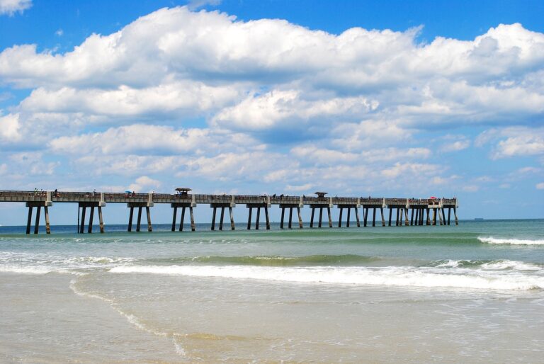 Road Trip from Jacksonville to Sarasota