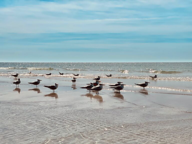 Road Trip from Sarasota to Jacksonville