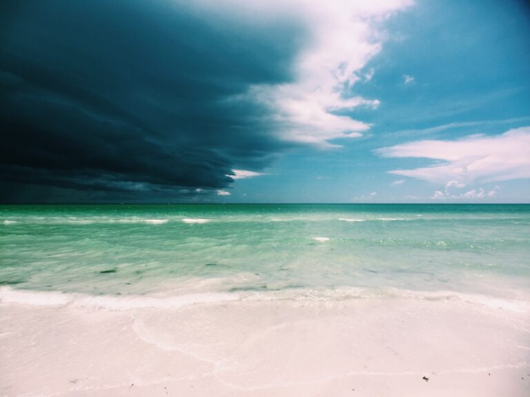 Road Trip from Sarasota to Tampa