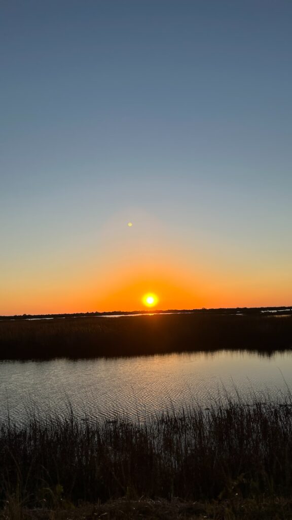 Road Trip from Tampa to Tallahassee