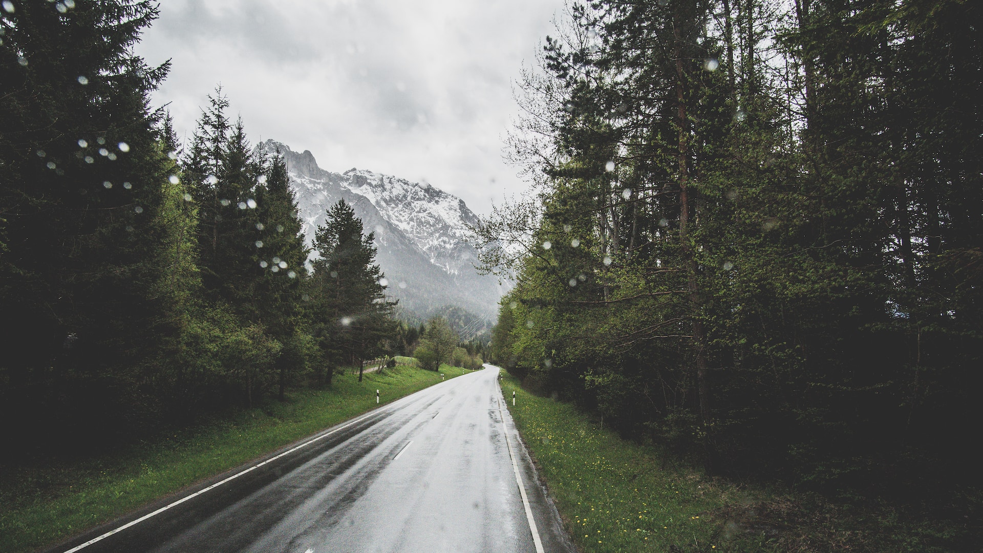 What to Do in Vail on a Rainy Day With Dogs