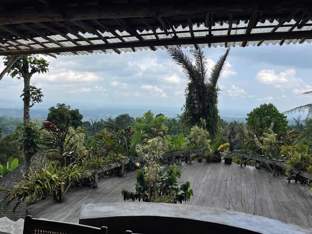 Batukaru Coffee Estate view from the restaurant