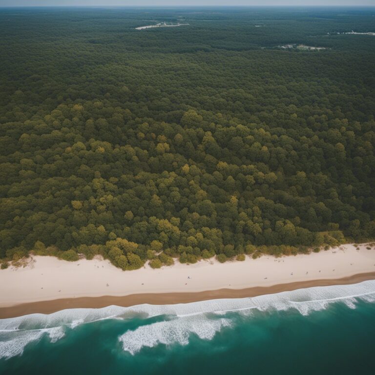 Indiana Dunes National Park